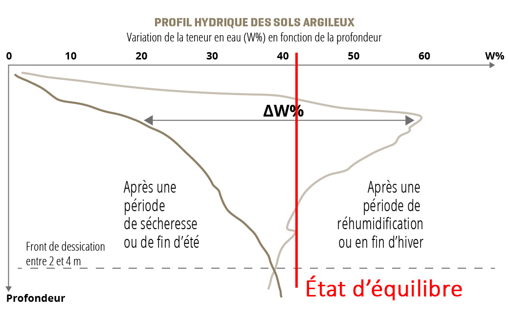 Profil hydrique des sols argileux